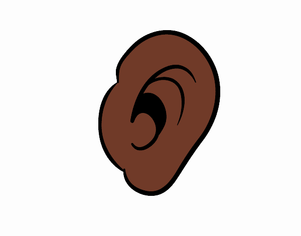 Oreja humana