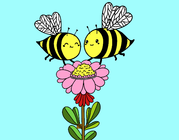 Pareja de abejas