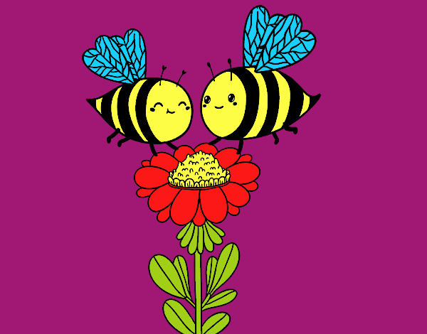 Pareja de abejas