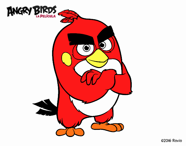 red angry birds