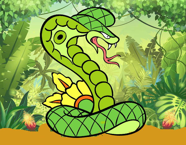 Cobra majestuosa de la selva