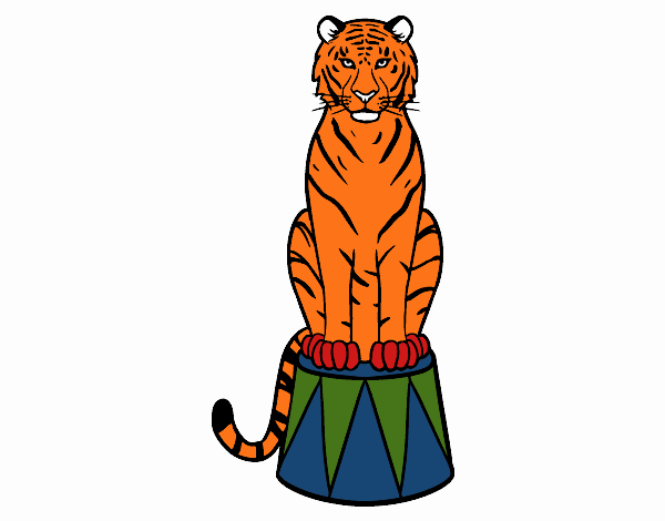 Tigre de circo