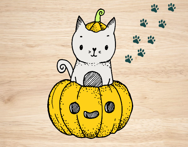 Un gatito de Halloween