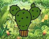 Cactus nopal