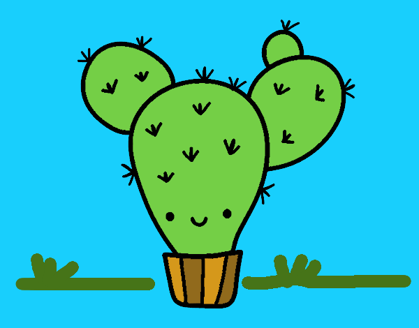 Cactus nopal