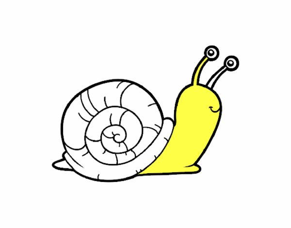 El caracol