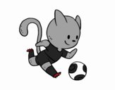 Gato jugando a fútbol