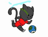 Gato jugando a fútbol