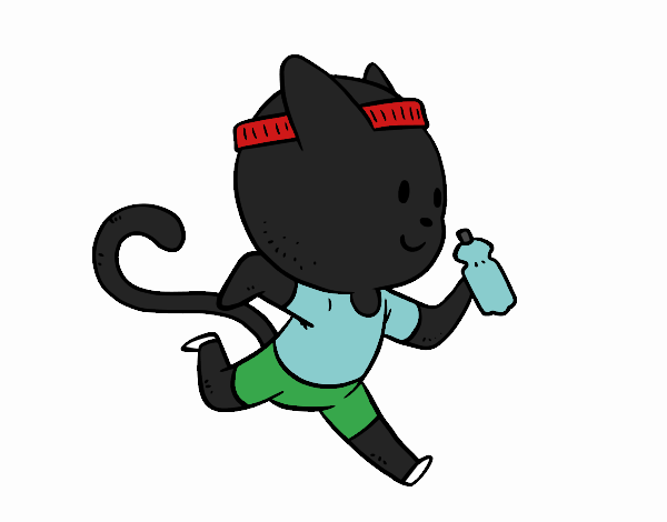 Gato runner