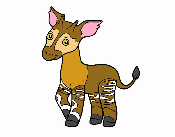 Okapi