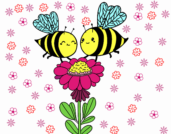 Pareja de abejas