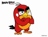 Red de Angry Birds