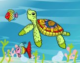 Tortuga de mar con peces