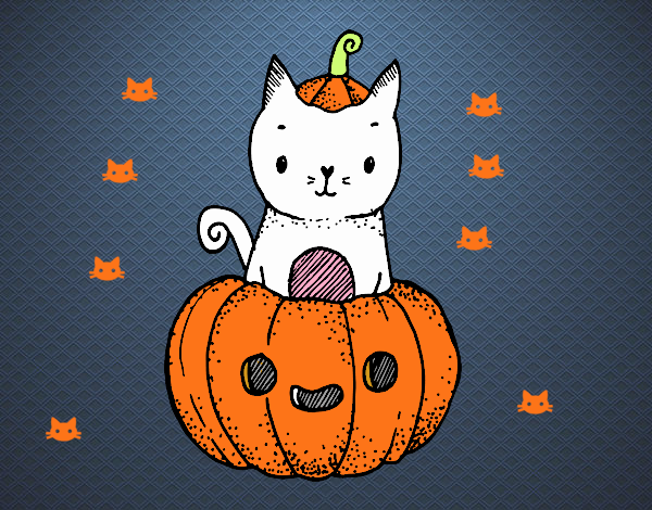 Un gatito de Halloween