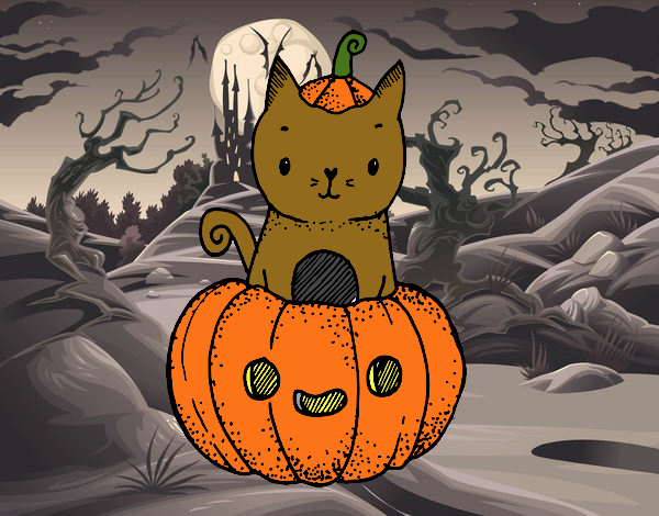 Un gatito de Halloween