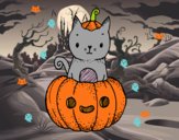 Un gatito de Halloween