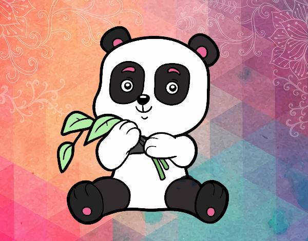 Un oso panda