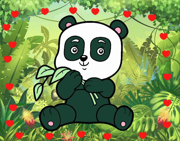 Un oso panda