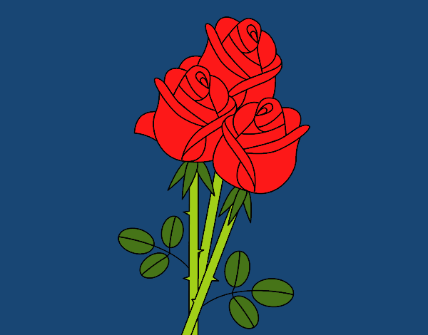 Un ramo de rosas