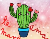 Cactus corazón