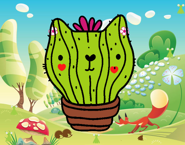 Cactus gato