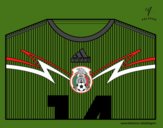 Camiseta del mundial de fútbol 2014 de México