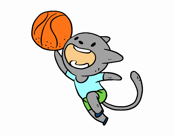 Gato jugando a baloncesto