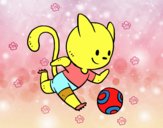 Gato jugando a fútbol