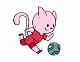 Gato jugando a fútbol