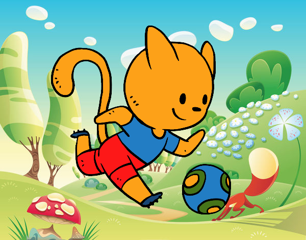 Gato jugando a fútbol