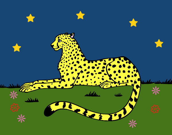 Jaguar de noche
