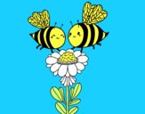 Pareja de abejas