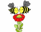 Pareja de abejas