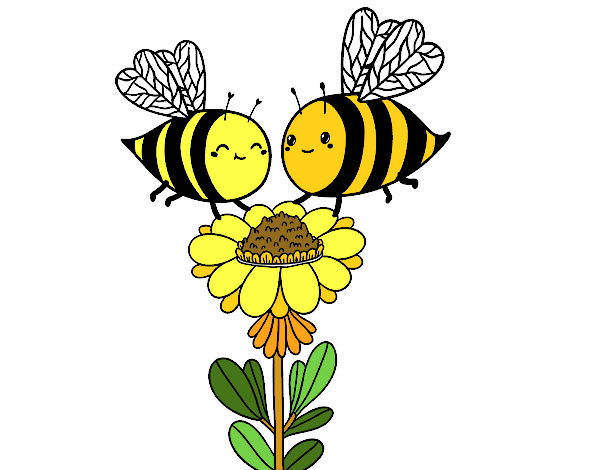 Pareja de abejas