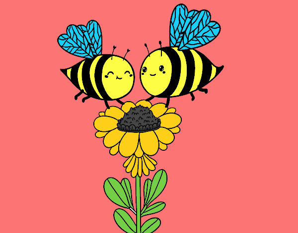 Pareja de abejas