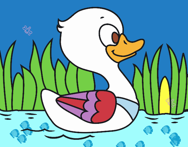 Patito de río