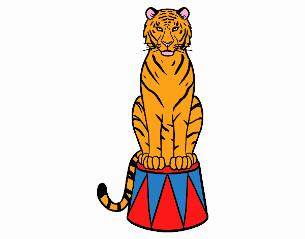 Tigre de circo