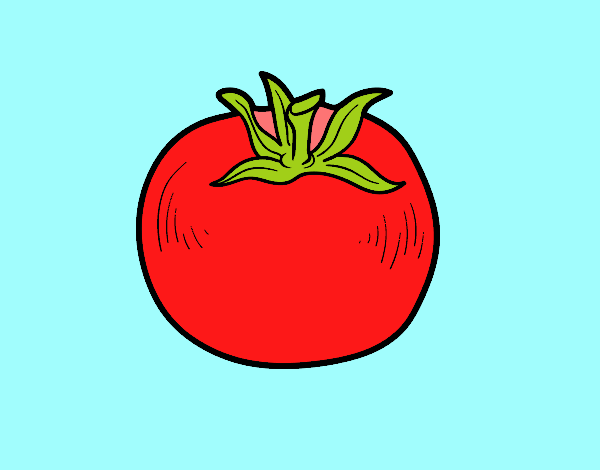 Tomate ecológico