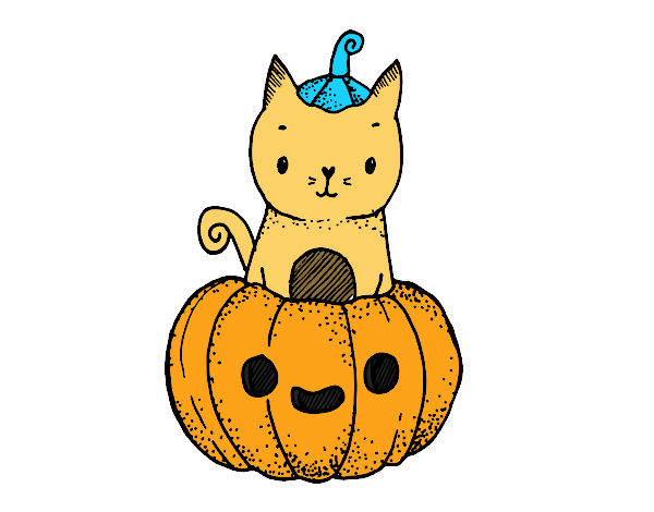 El gato de halloween