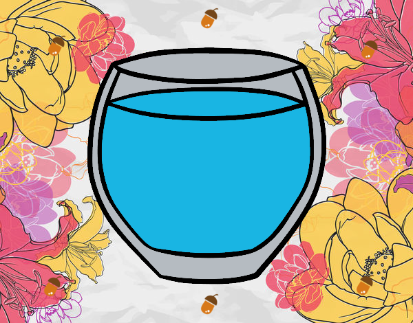 Vaso de agua