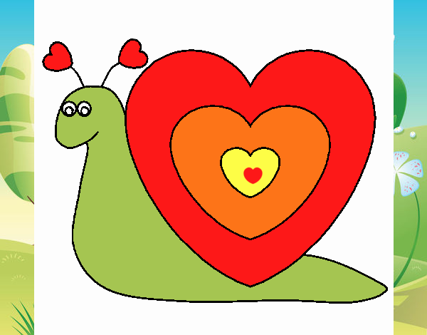 Caracol corazón