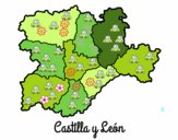 Castilla y León