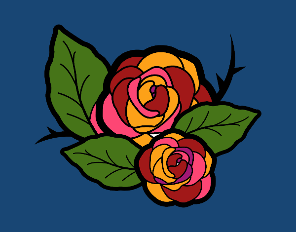 rosas colorias