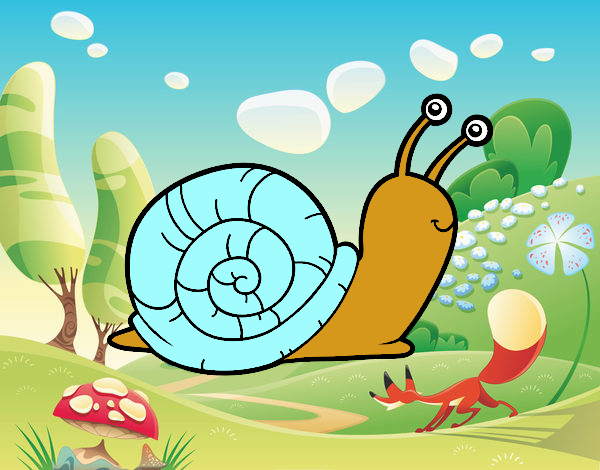 caracol