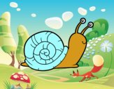 El caracol