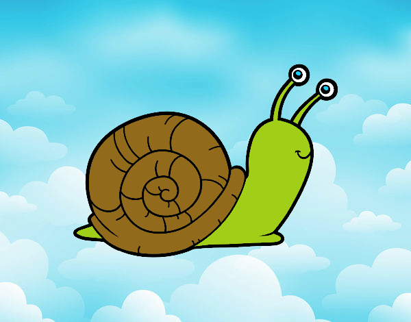 El caracol