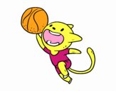 Gato jugando a baloncesto