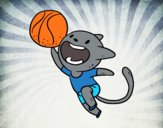 Gato jugando a baloncesto