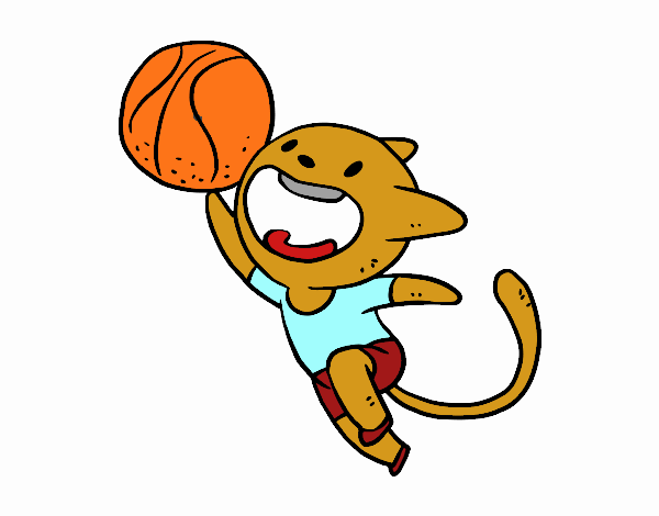 Gato jugando a baloncesto