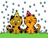 Gatos de cumpleaños